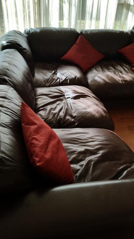 6 On Acacia Bed & Breakfast Johannesburg Bagian luar foto